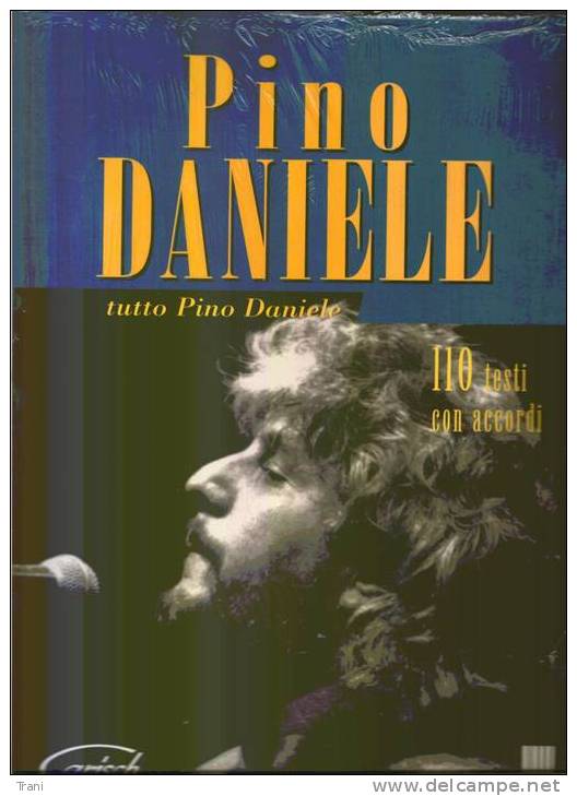PINO DANIELE - Musik