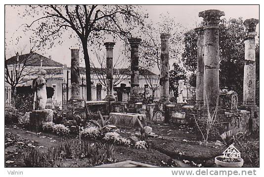 GUELMA   Ruines Romaines Dans Le Square - Guelma