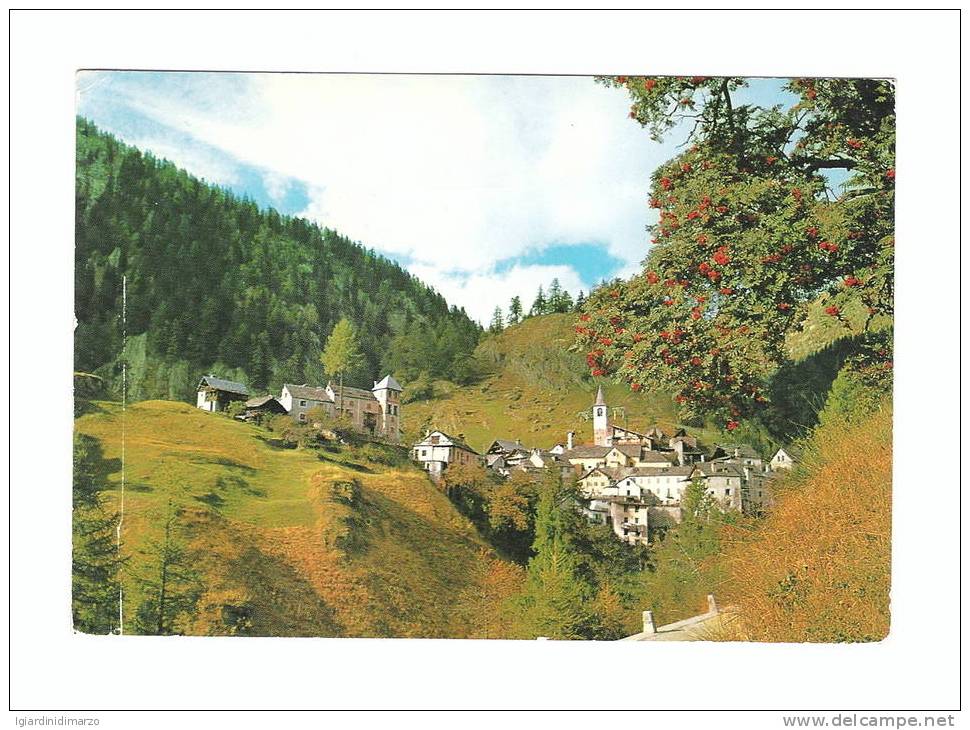 FUSIO - Valle Maggia (Svizzera) - Panorama - Nuova, Non Viaggiata - In Buone Condizioni - DC2527. - Maggia