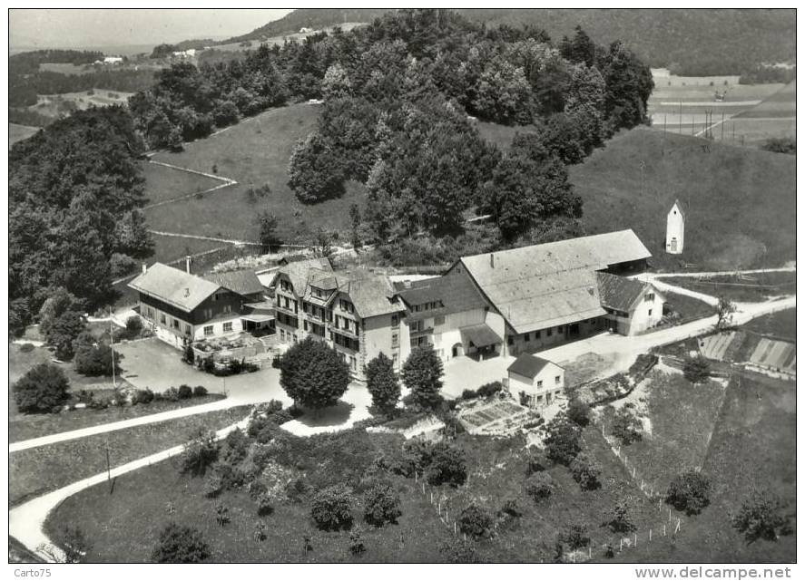 Suisse - Wisen - Hotel Froburg - Vue Aérienne - Wisen