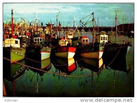 BINIC.Bateaux De Pêche Pour Coquille St Jacques Dans Le Port - Binic