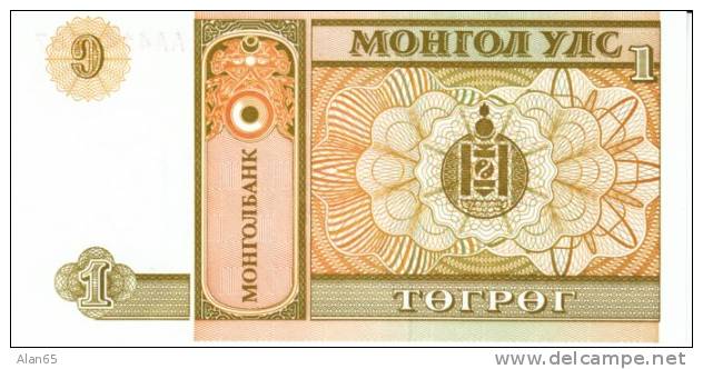 1 Tugrik Mongolia 1993 Currency Banknote, Uncirculated, Krause #52 - Mongolia