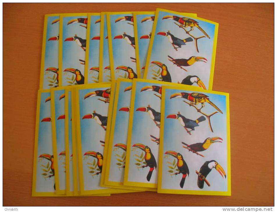 LOT CARTE POSTALE NEUVE THEME OISEAU PERROQUET PAR 20  IDENTIQUES - Pappagalli & Tropicali