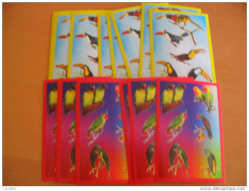 LOT CARTES  POSTALES  NEUVES THEME OISEAU PERROQUET 10 SERIES IDENTIQUES DE 2 CARTES DIFFERENTES - Papagayos