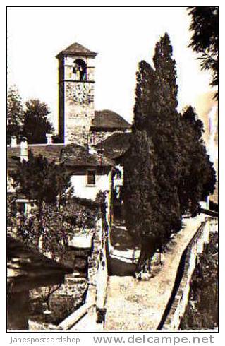 BRISSAGO (Lago Maggiore) -Kirche Und Cypressen - Echte Photo  - Tessin - SUISSE - Brissago