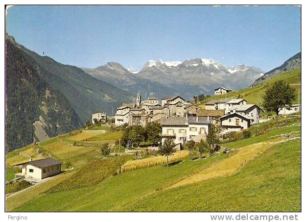 4795 - VIANO (Val Poschiavo)- Panorama - Poschiavo