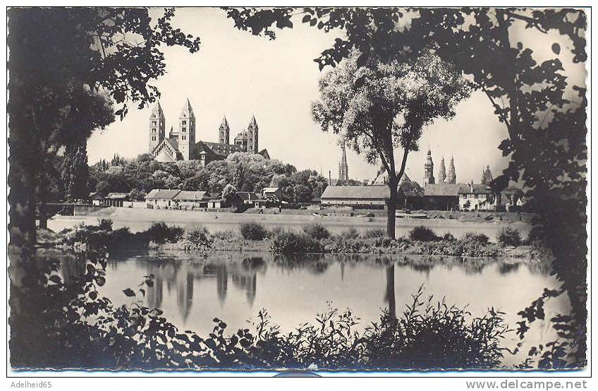 Spire Vue De La Rive Droite Du Rhin (Speyer, Panorama Vom Rechten Ufer Rhein) Photo Veritable Ed. Estel, Lavelle - Speyer