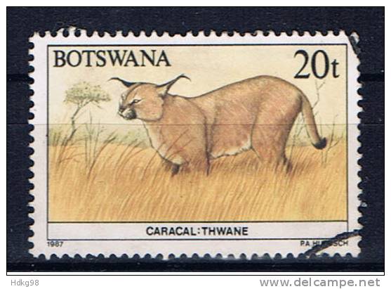 RB+ Botswana 1987 Mi 413 Karakal - Botswana (1966-...)