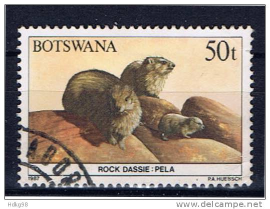 RB+ Botswana 1987 Mi 418 Kap-Klippschliefer - Botswana (1966-...)