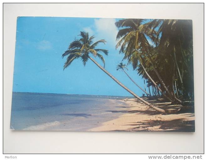 Netherland Antilles -Tobago - Pigeon Point -     D48316 - Sonstige & Ohne Zuordnung