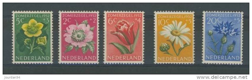 PAYS BAS              N°  569    /   573 - Timbres Personnalisés