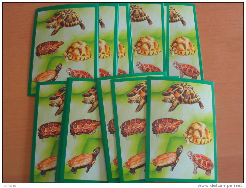 LOT CARTE POSTALE NEUVE THEME TORTUES  PAR 20 IDENTIQUES - Schildkröten