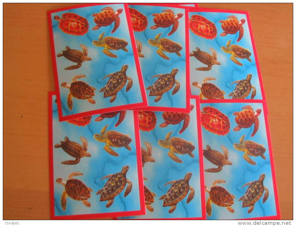 LOT CARTE POSTALE NEUVE THEME TORTUES  PAR 20 IDENTIQUES - Schildpadden