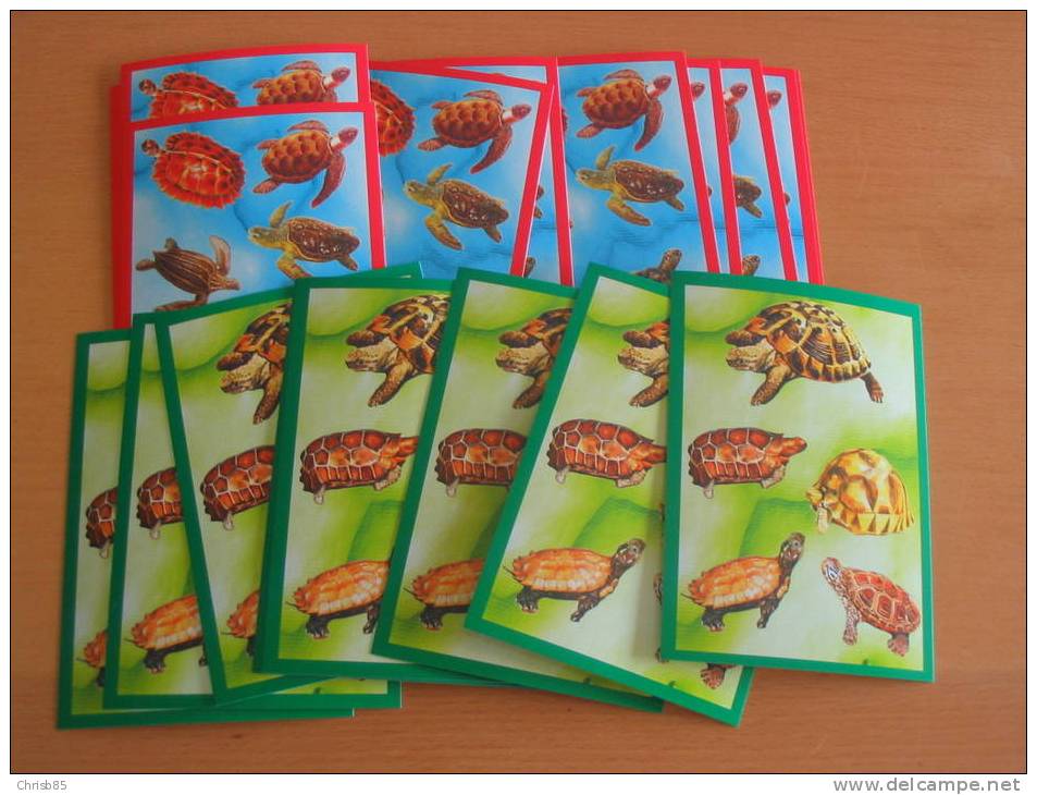 LOT CARTES  POSTALES  NEUVES THEME TORTUES  10 SERIES IDENTIQUES DE 2 CARTES DIFFERENTES - Tortugas