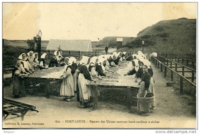 56 - Belle CPA Port-Louis - Femmes Des Usines Mettant Leurs Sardines à Sécher - Port Louis
