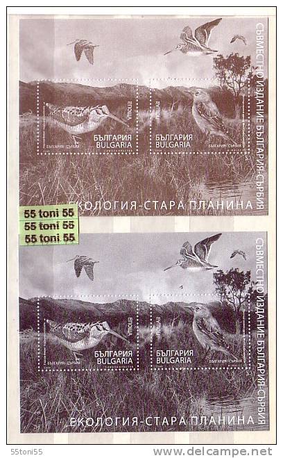 Bulgaria / Bulgarie 2009 ECOLOGY – Birds  A Special 2 S/S Issue , Missing Value –private ) - Nuevos