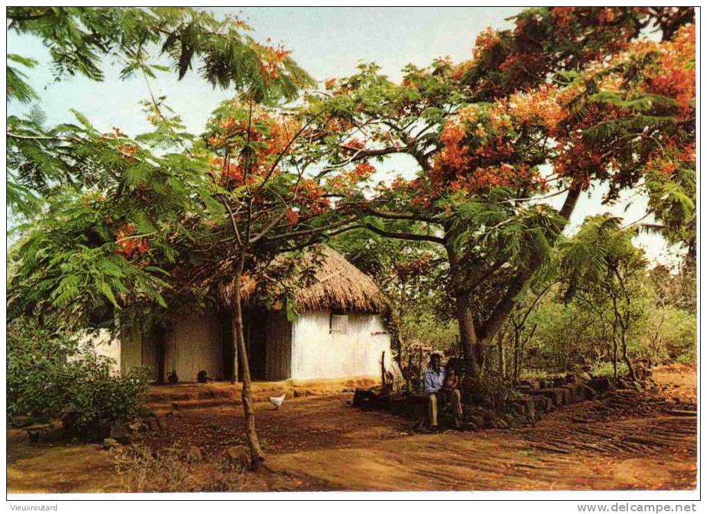 CPSM.  ILE MAURICE. CABANE DE CAMPAGNE PARLE DU PASSE DE CETTE ILE OU LA BROUSSE CACHE ENCORE CES VILLAGES D'ANTAN. - Maurice