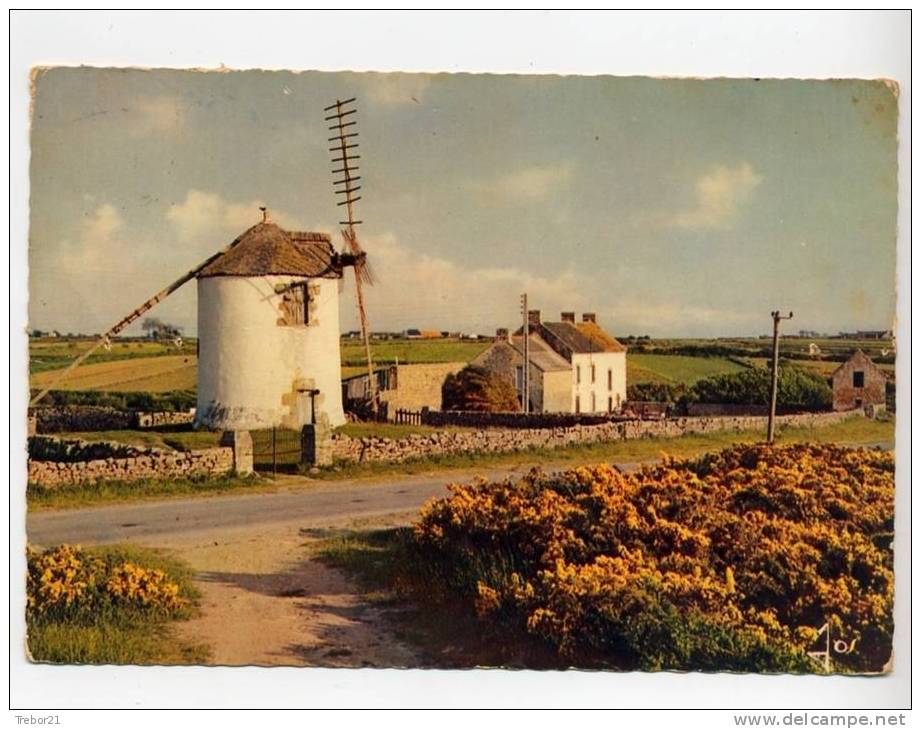 - Le Vieux Moulin D'Erdeven - Erdeven