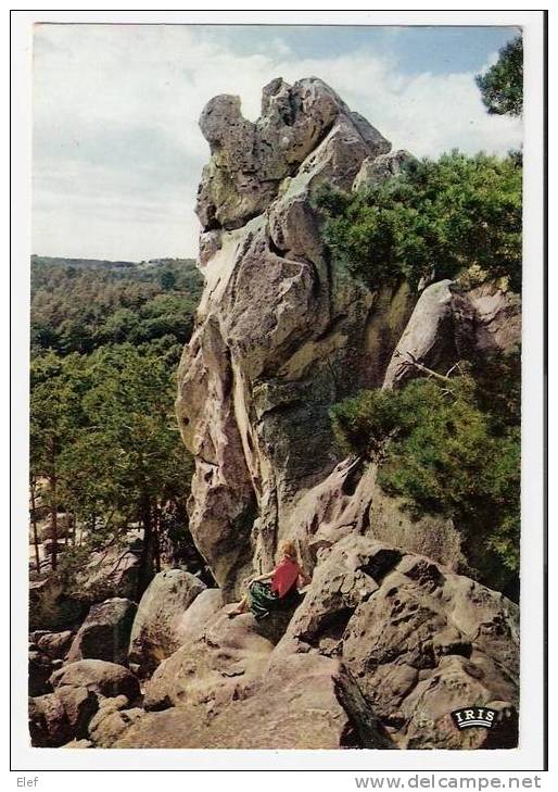 Les Environs De Nemours (Seine-et-Marne) : LARCHANT ; La "Dame Jouanne" ; Animée , Jeune Femme Blonde ; 1971 ; TB - Larchant