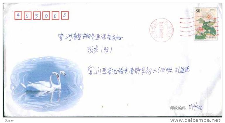 Swans Birds   ,    Prepaid Cover   , Postal Stationery - Cygnes