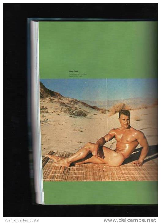 LIVRE BEEFCAKE THE MUSCLE MAGAZINES OF AMERICA 1950 / 1970 GAY HOMMES NUS