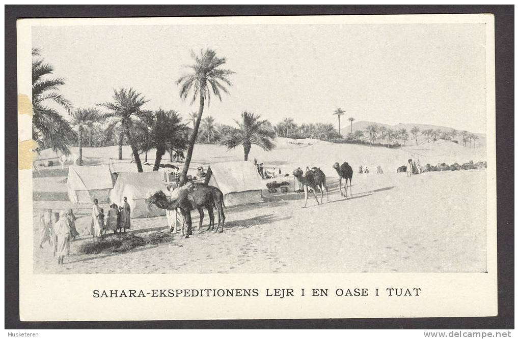 Denmark PPC Algeria Sahara-Ekspeditionens Lejr I En Oase I Tuat Sahara Ekspedition Camp In An Oasis In Tuat - Männer