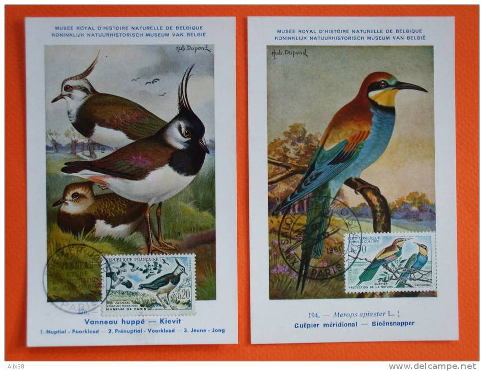 FRANCE Série D'oiseaux De 1960 - N°1273/1276 Sur 4 Cartes Maxima. Superbe - Collections, Lots & Séries