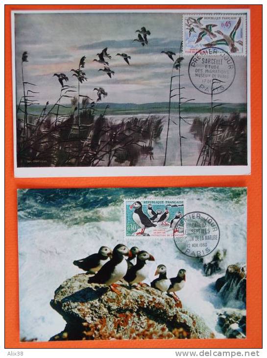 FRANCE Série D'oiseaux De 1960 - N°1273/1276 Sur 4 Cartes Maxima. Superbe - Collections, Lots & Séries