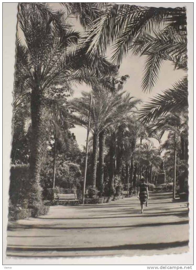 ANTIGUA POSTAL DE CORDOBA, JARDINES DE LA VICTORIA. GARCIA GARRABELLA 47 - SIN CIRCULAR - Almería