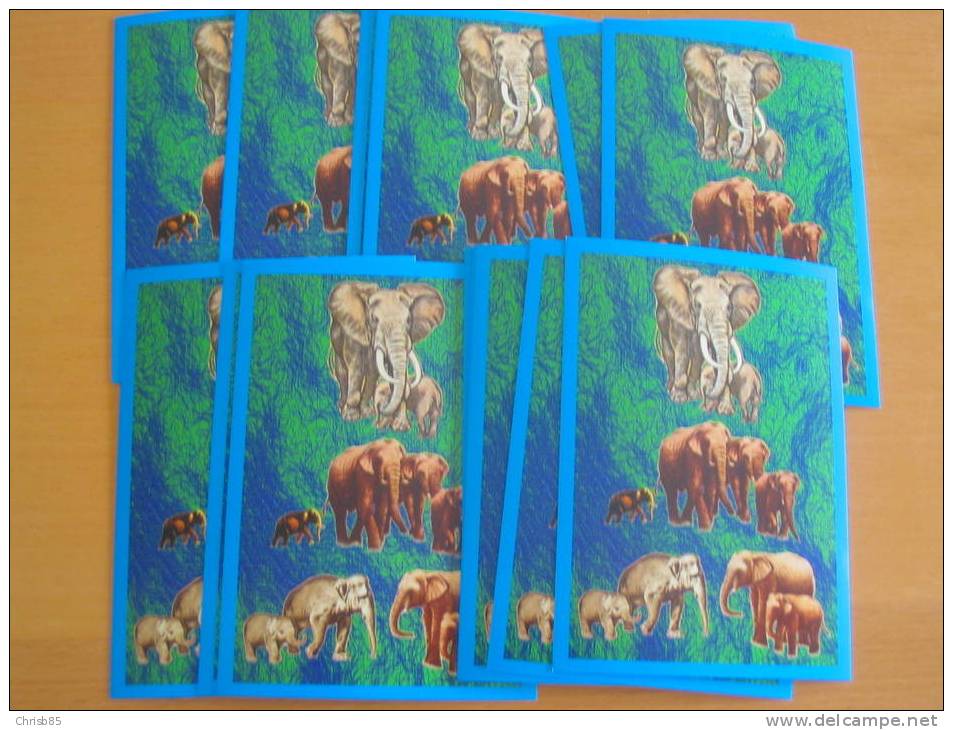 LOT 20  CARTES  POSTALES IDENTIQUES  NEUVES  THEME PACHYDERMES - Eléphants