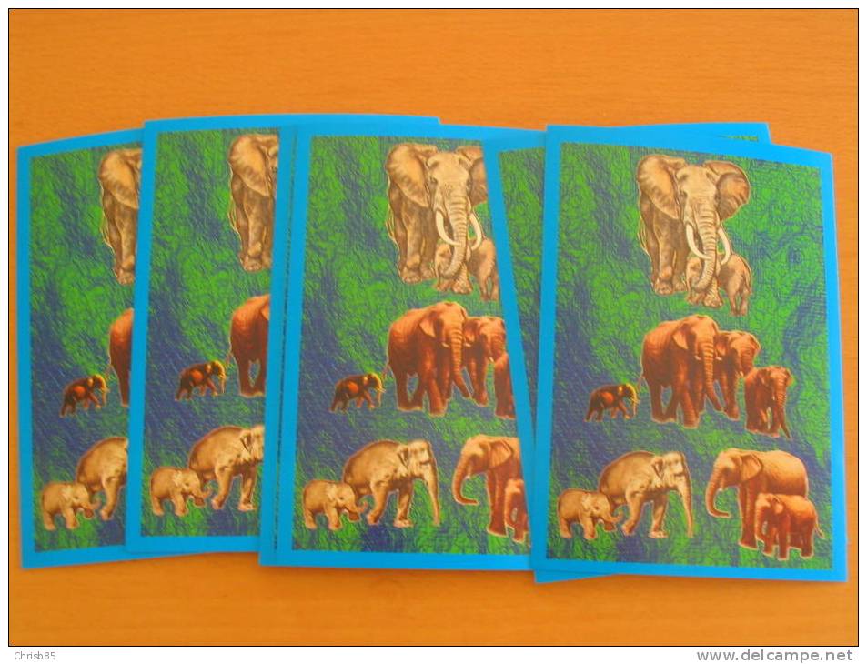 LOT 10  CARTES  POSTALES IDENTIQUES  NEUVES  THEME PACHYDERMES - Elefanten