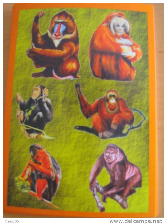 LOT  CARTE POSTALE NEUVE THEME SINGES - Singes