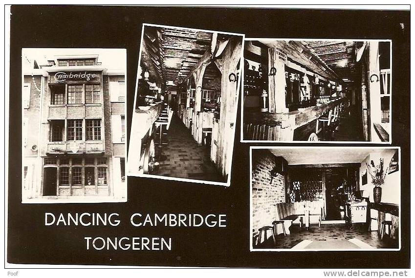 Tongeren : Dancing Cambridge - Tongeren