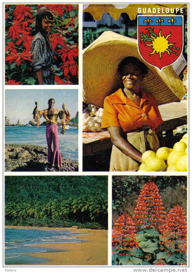 Carte Postale  Dom - Tom  Guadeloupe  Trés Beau Plan - Pointe A Pitre