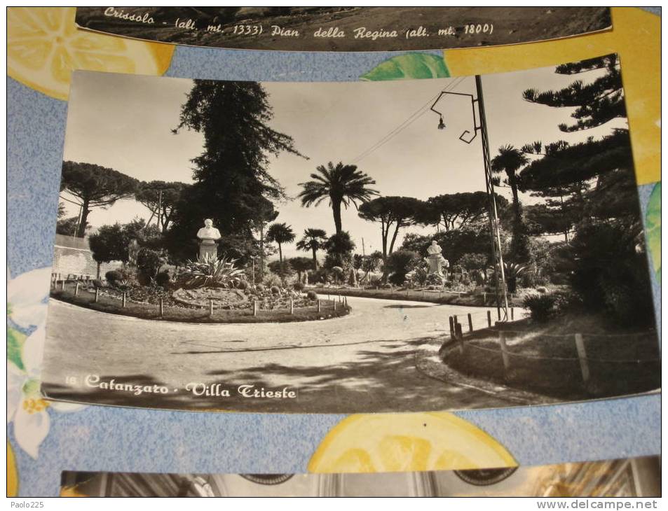 CATANZARO Villa Trieste BN VG - Catanzaro