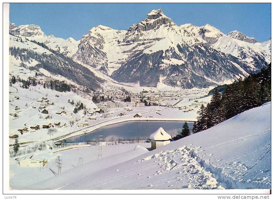 ENGELBERG  - Zentralschweiz - Skigebiet - Skiing - N°  03105 - Engelberg