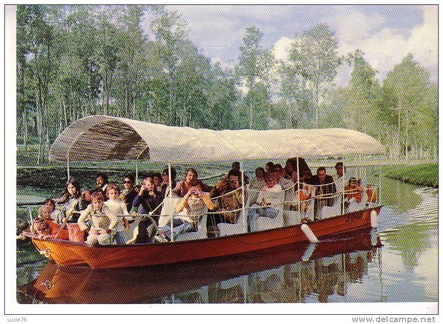 SAINT VRAIN  - Parc - SAFARI  -  BATEAU  - N° 530 1 - Saint Vrain