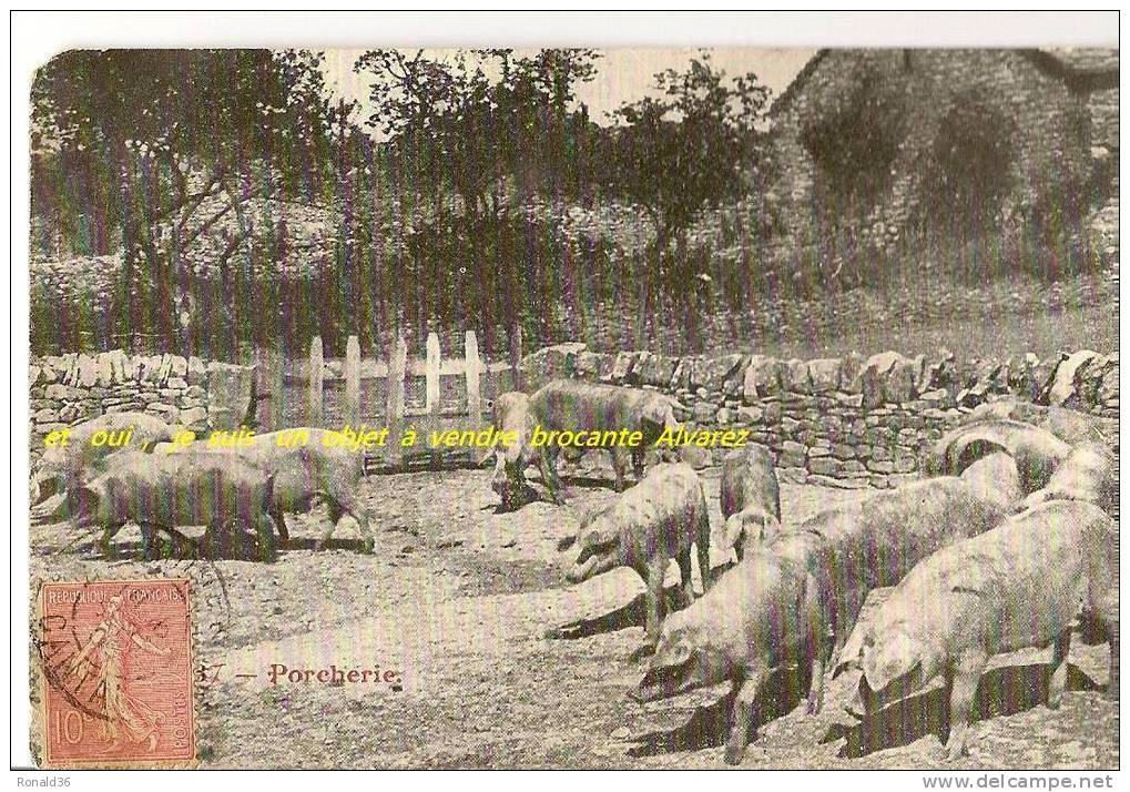 Cp Ferme: Une Porcherie ( Cochons) Cachet CANTAL 15 - Pigs