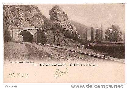 Yvoir - 70. Les Environs D'Yvoir - Le Tunnel De Fidevoye - Yvoir