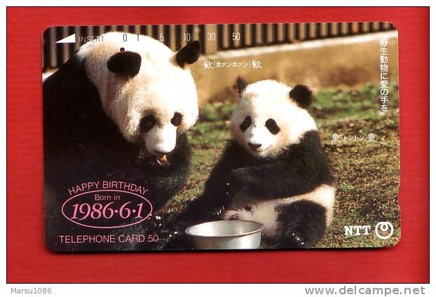 Japan Japon Telefonkarte Télécarte Phonecard Telefoonkaart - Panda Bär  Bear  Ours  230 - 082 - Autres & Non Classés