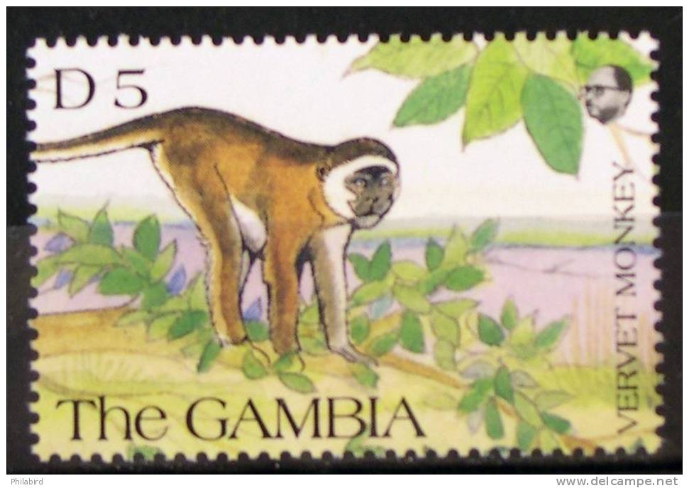 GAMBIE       N° 1062       NEUF** - Singes