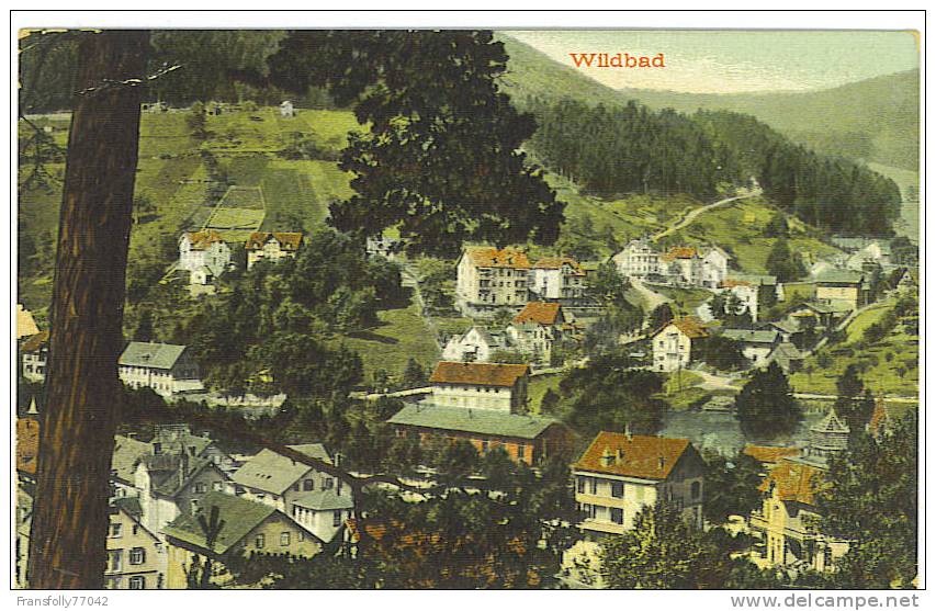 WILDBAD GERMANY Panoramic Birdseye OF TOWN Homes & SURROUNDS Circa - 1910 - Hochschwarzwald