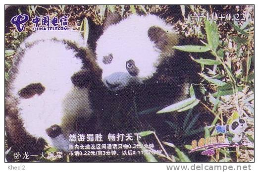 Télécarte Chine - Animal - PANDA Mère & Petit - Pandabär & Baby Tier Telefonkarte Animals Phonecard - BE 84 - Cina