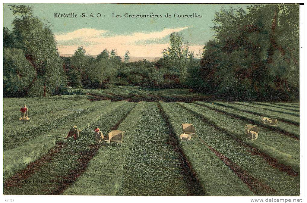 MEREVILLE - Les Cressonnières De Courcelles - Récolte - Voy. 1930 - Mereville