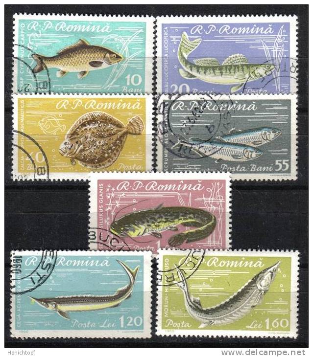 Rumänien; 1960; Michel 1926/33 O; Fische - Used Stamps