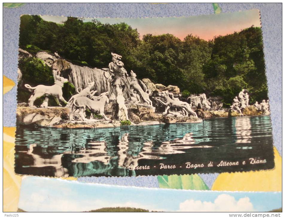 Caserta - Parco Bagno Di Atteone E Diana VG1952 Colori - Caserta