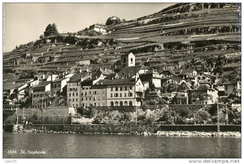 Suisse - St Saphorin - Panorama - Saint-Saphorin