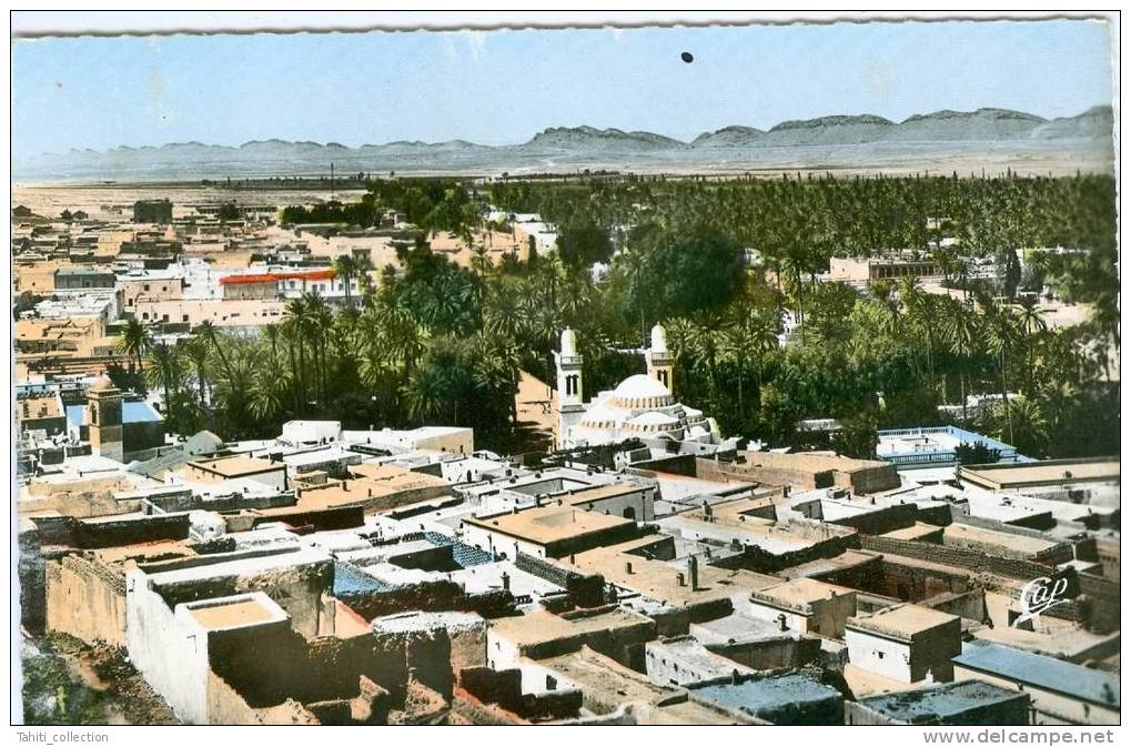 LAGHOUAT - Vue Centrale Prise Du Marabout De Sidi-Abdelkader - Laghouat