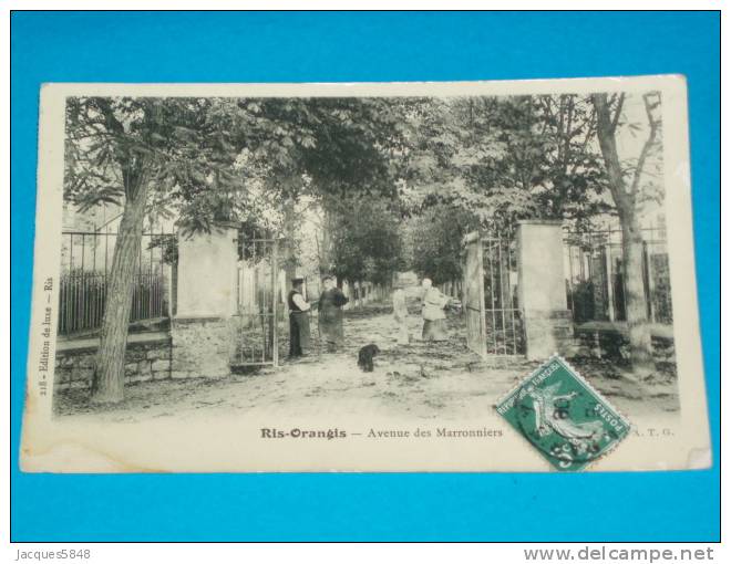 91) Ris - Orangis - N° 218 - Carte Photo - Avenue Des Marroniers  - Année 1908 - EDIT  A.T.G - Ris Orangis