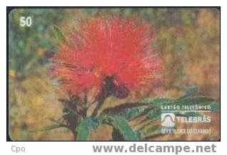 # BRASIL 950501a Cigana -fleurs,flowers- 50  04.95  Tres Bon Etat - Brésil